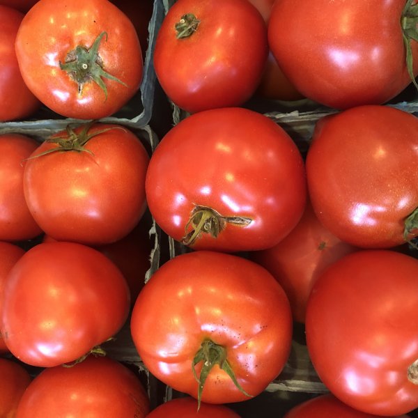 Slicing Tomatoes - Swallowtail Farm